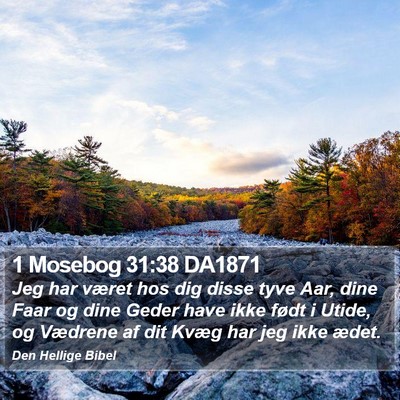 1 Mosebog 31:38 DA1871 Bible Verse Image