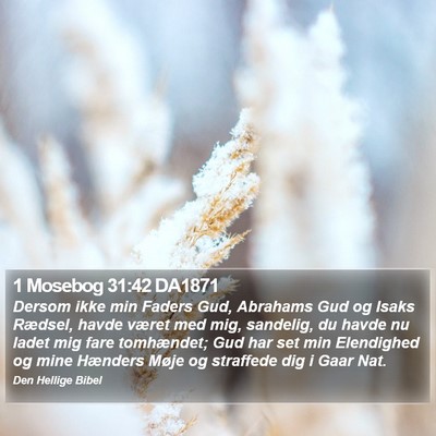 1 Mosebog 31:42 DA1871 Bible Verse Image