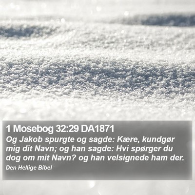 1 Mosebog 32:29 DA1871 Bible Verse Image