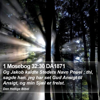 1 Mosebog 32:30 DA1871 Bible Verse Image