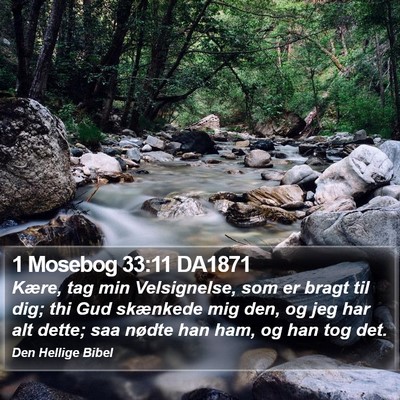 1 Mosebog 33:11 DA1871 Bible Verse Image