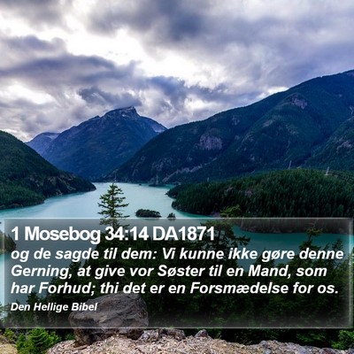 1 Mosebog 34:14 DA1871 Bible Verse Image