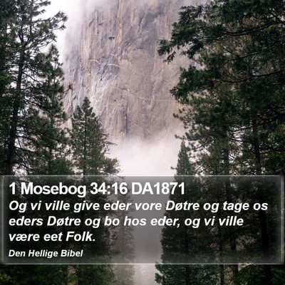 1 Mosebog 34:16 DA1871 Bible Verse Image
