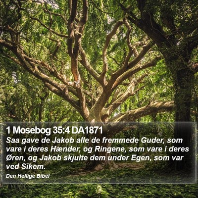 1 Mosebog 35:4 DA1871 Bible Verse Image