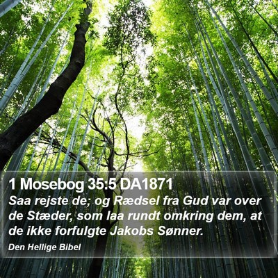 1 Mosebog 35:5 DA1871 Bible Verse Image
