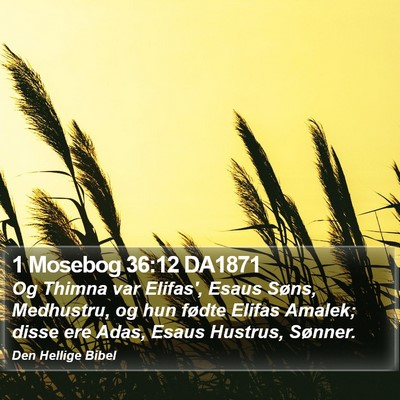 1 Mosebog 36:12 DA1871 Bible Verse Image