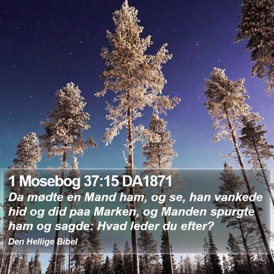 1 Mosebog 37:15 DA1871 Bible Verse Image