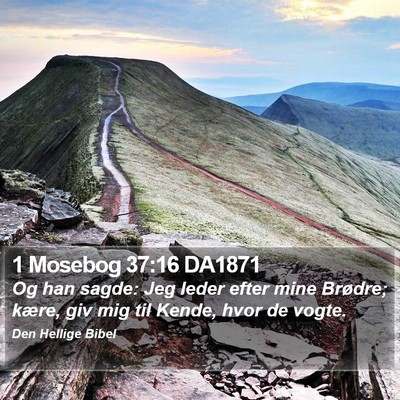 1 Mosebog 37:16 DA1871 Bible Verse Image