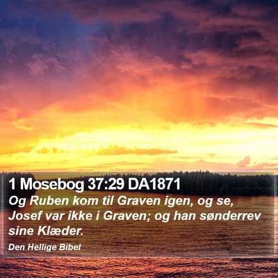 1 Mosebog 37:29 DA1871 Bible Verse Image