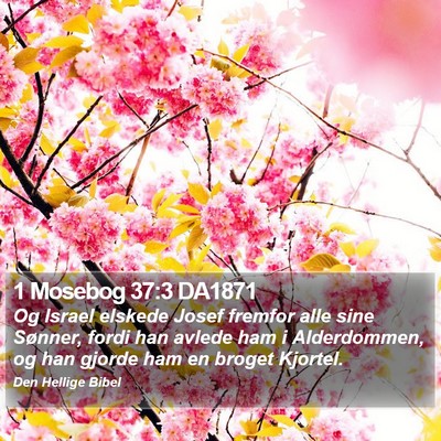 1 Mosebog 37:3 DA1871 Bible Verse Image