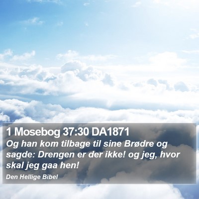 1 Mosebog 37:30 DA1871 Bible Verse Image