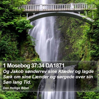 1 Mosebog 37:34 DA1871 Bible Verse Image