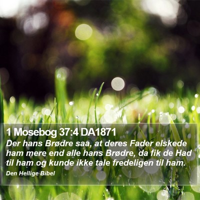 1 Mosebog 37:4 DA1871 Bible Verse Image