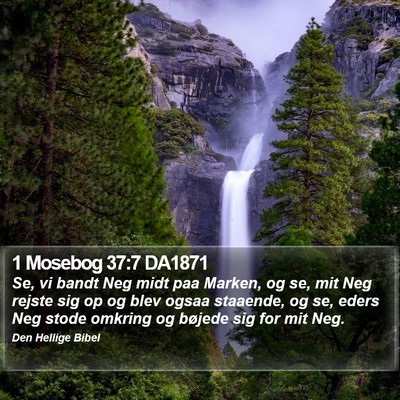 1 Mosebog 37:7 DA1871 Bible Verse Image