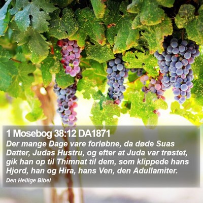 1 Mosebog 38:12 DA1871 Bible Verse Image