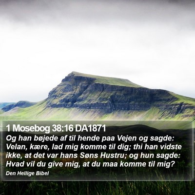 1 Mosebog 38:16 DA1871 Bible Verse Image