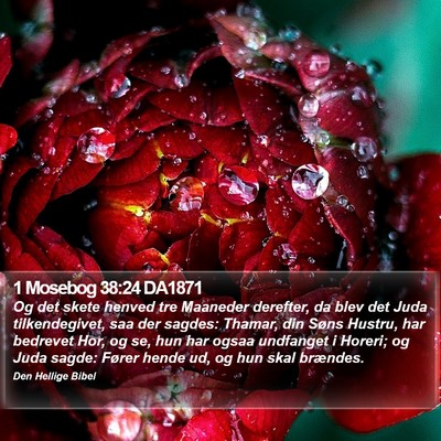 1 Mosebog 38:24 DA1871 Bible Verse Image