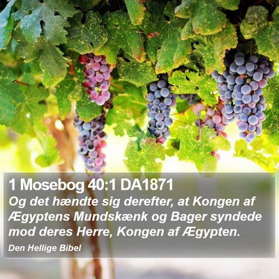 1 Mosebog 40:1 DA1871 Bible Verse Image