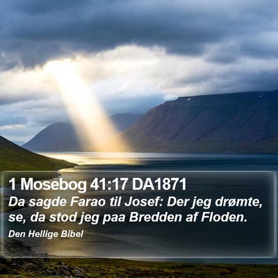 1 Mosebog 41:17 DA1871 Bible Verse Image