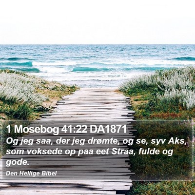 1 Mosebog 41:22 DA1871 Bible Verse Image