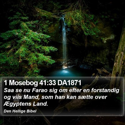 1 Mosebog 41:33 DA1871 Bible Verse Image