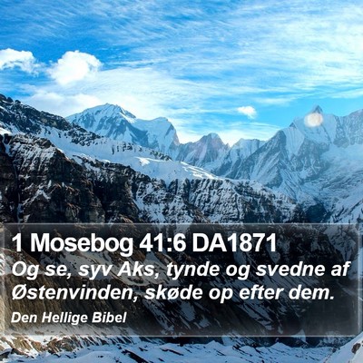 1 Mosebog 41:6 DA1871 Bible Verse Image