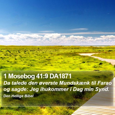 1 Mosebog 41:9 DA1871 Bible Verse Image