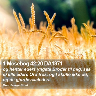 1 Mosebog 42:20 DA1871 Bible Verse Image