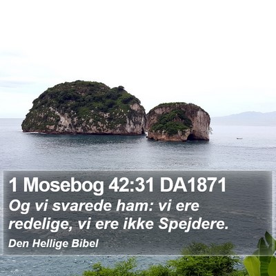 1 Mosebog 42:31 DA1871 Bible Verse Image