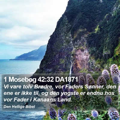 1 Mosebog 42:32 DA1871 Bible Verse Image