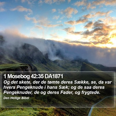 1 Mosebog 42:35 DA1871 Bible Verse Image