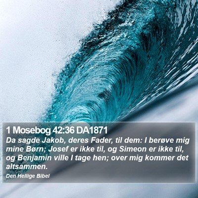 1 Mosebog 42:36 DA1871 Bible Verse Image
