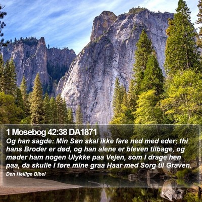 1 Mosebog 42:38 DA1871 Bible Verse Image