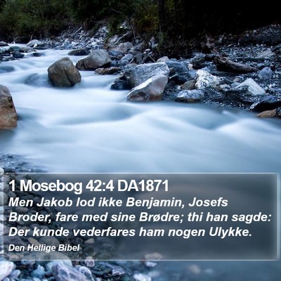 1 Mosebog 42:4 DA1871 Bible Verse Image