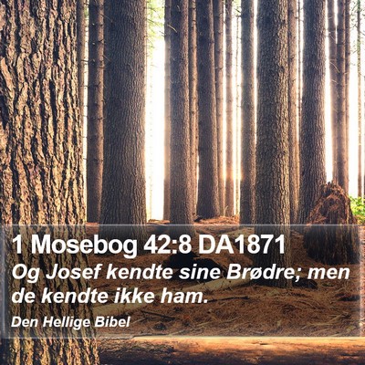 1 Mosebog 42:8 DA1871 Bible Verse Image