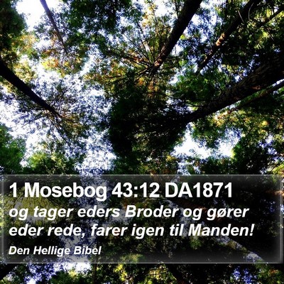 1 Mosebog 43:12 DA1871 Bible Verse Image