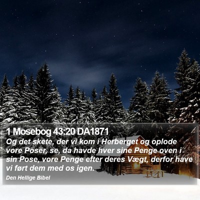 1 Mosebog 43:20 DA1871 Bible Verse Image