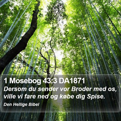 1 Mosebog 43:3 DA1871 Bible Verse Image