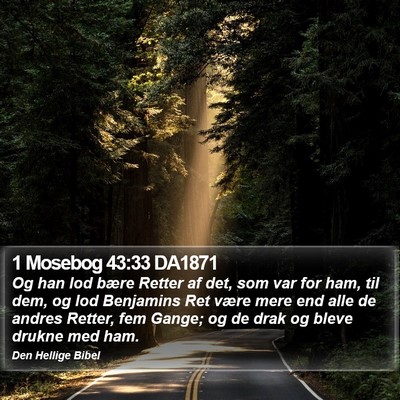 1 Mosebog 43:33 DA1871 Bible Verse Image