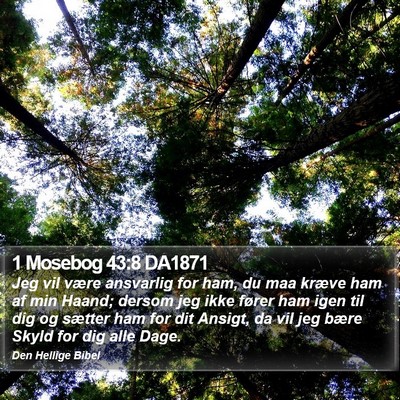 1 Mosebog 43:8 DA1871 Bible Verse Image
