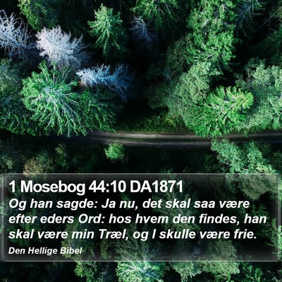 1 Mosebog 44:10 DA1871 Bible Verse Image