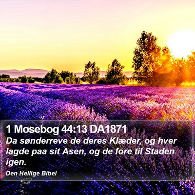 1 Mosebog 44:13 DA1871 Bible Verse Image