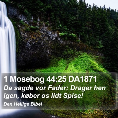 1 Mosebog 44:25 DA1871 Bible Verse Image