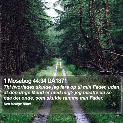 1 Mosebog 44:34 DA1871 Bible Verse Image