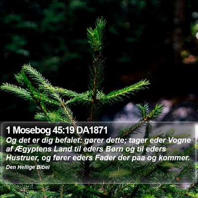 1 Mosebog 45:19 DA1871 Bible Verse Image