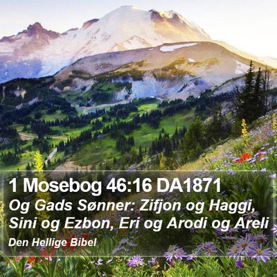 1 Mosebog 46:16 DA1871 Bible Verse Image