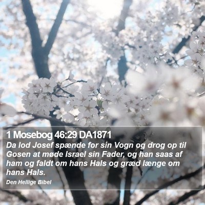 1 Mosebog 46:29 DA1871 Bible Verse Image