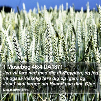 1 Mosebog 46:4 DA1871 Bible Verse Image
