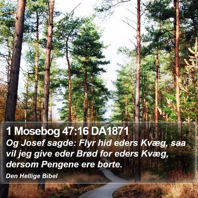 1 Mosebog 47:16 DA1871 Bible Verse Image