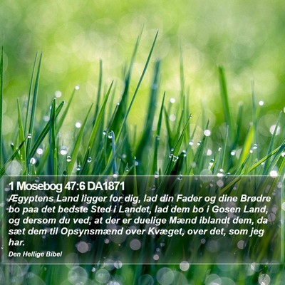 1 Mosebog 47:6 DA1871 Bible Verse Image